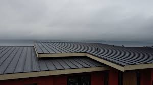 Best Solar Panel Roofing Installation  in Black River Falls, WI